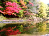 薬研渓流の水面に写る紅葉